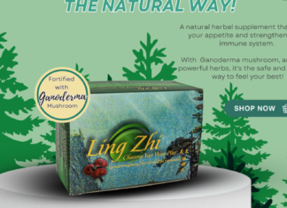 Support Your Well-Being: Discover the Power of Ganoderma and More