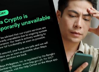 Bull Run, Maintenance Run: Maya Downtime Sparks Anger Among Traders