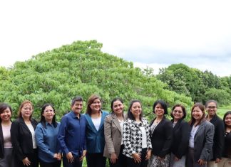 Study reveals alarming prevalence of perinatal depression among Filipino mothers